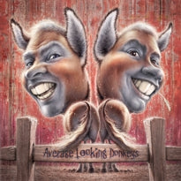 Average Looking Donkeys (2012)
